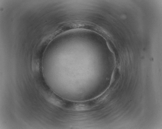 X0000080720315200612151205