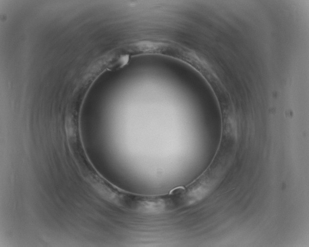 X0000080720317200612151205