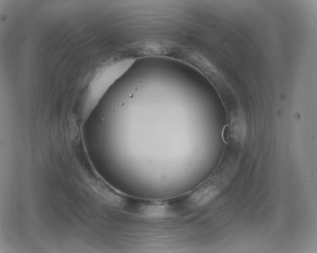 X0000080720318200612151205