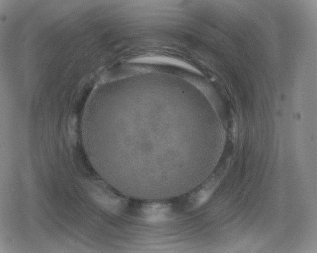 X0000080720319200612151205