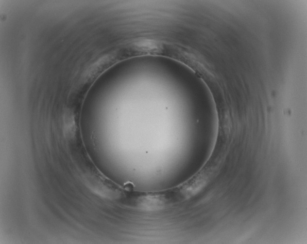 X0000080720320200612151205