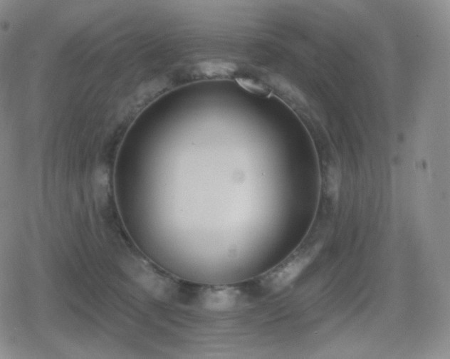 X0000080720321200612151205