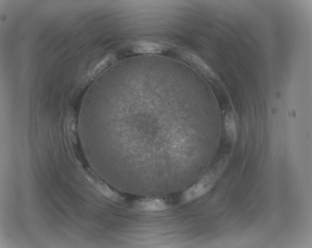 X0000080720322200612151205