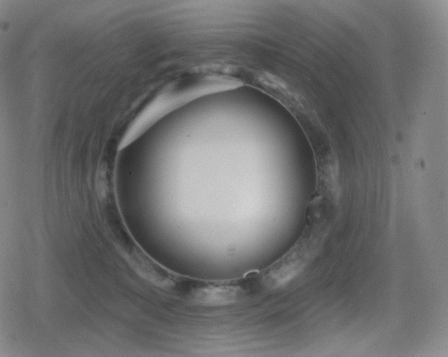 X0000080720323200612151205