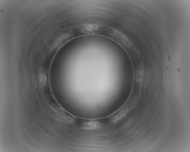 X0000080720324200612151205