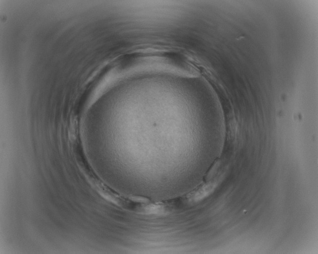 X0000080720325200612151205