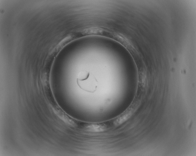 X0000080720326200612151205