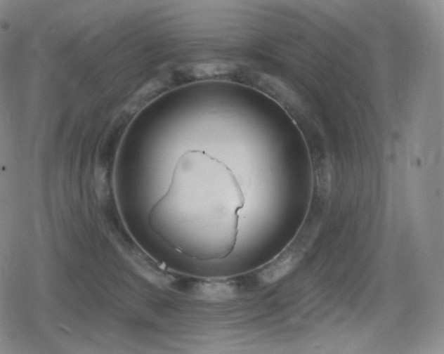 X0000080720327200612151205