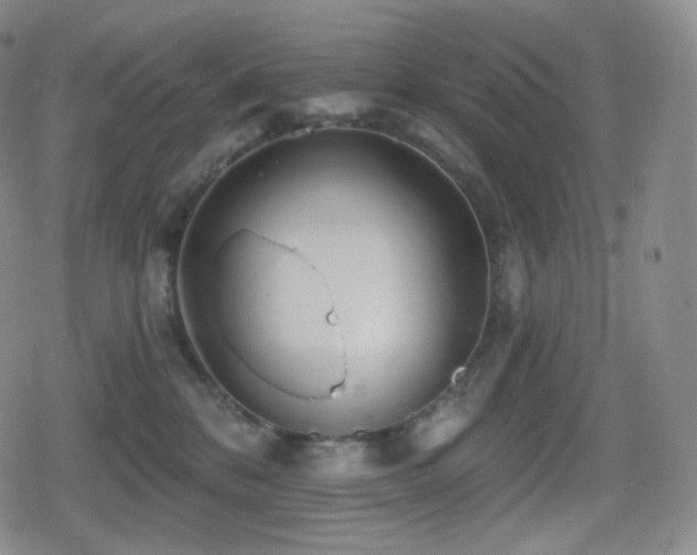 X0000080720328200612151205