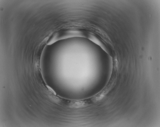 X0000080720329200612151205