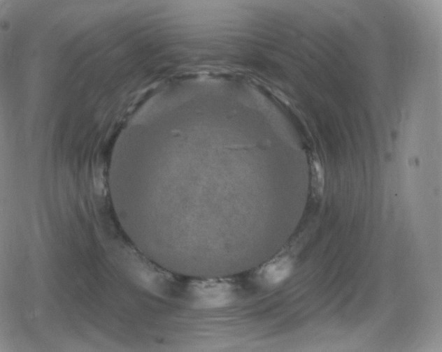 X0000080720331200612151205