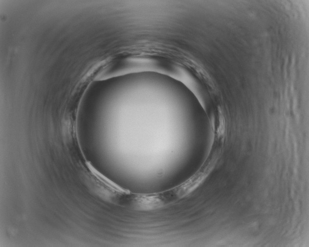 X0000080720333200612151205