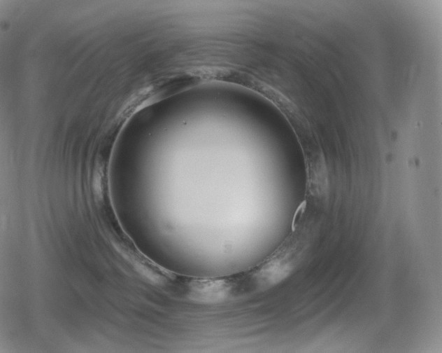 X0000080720334200612151205