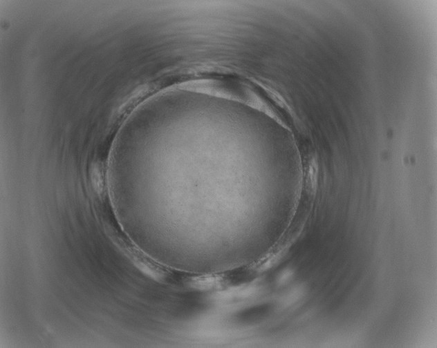 X0000080720335200612151205