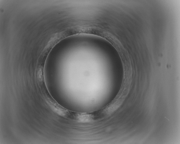 X0000080720336200612151205