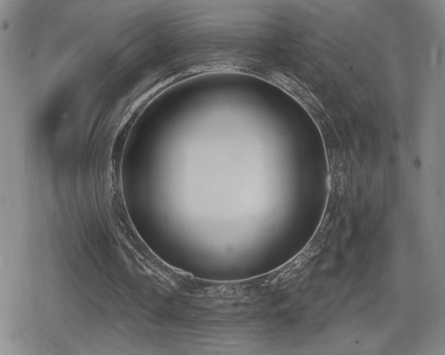 X0000080720338200612151204