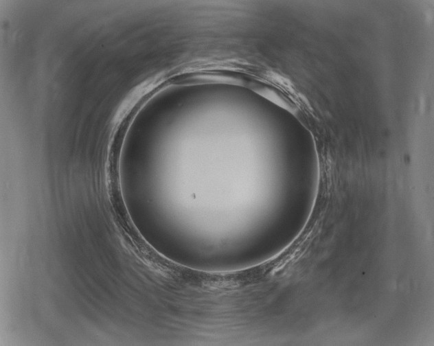 X0000080720340200612151204