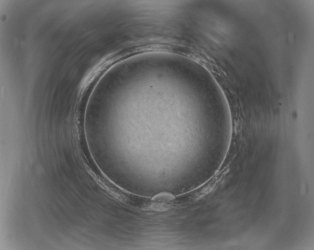 X0000080720341200612151204