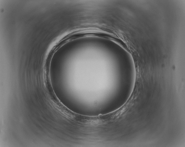 X0000080720342200612151204