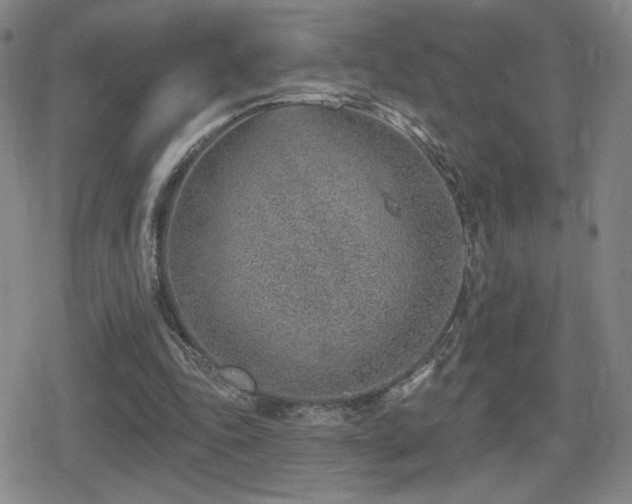 X0000080720343200612151204