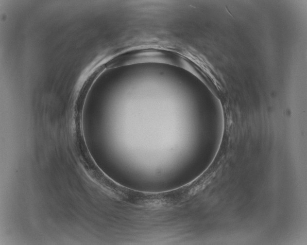 X0000080720344200612151204