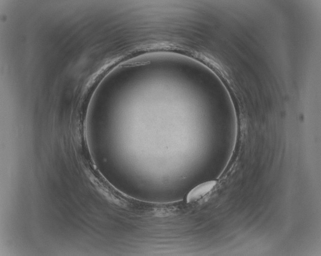 X0000080720345200612151204