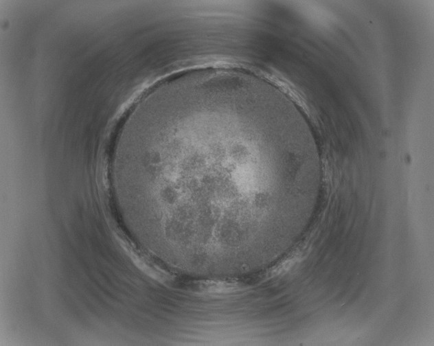 X0000080720347200612151204