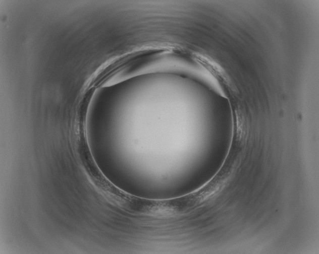 X0000080720348200612151204