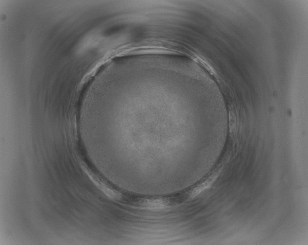 X0000080720349200612151204