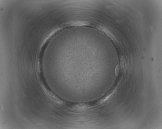 X0000080720351200612151204