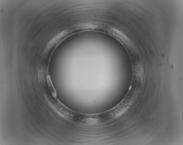 X0000080720352200612151204