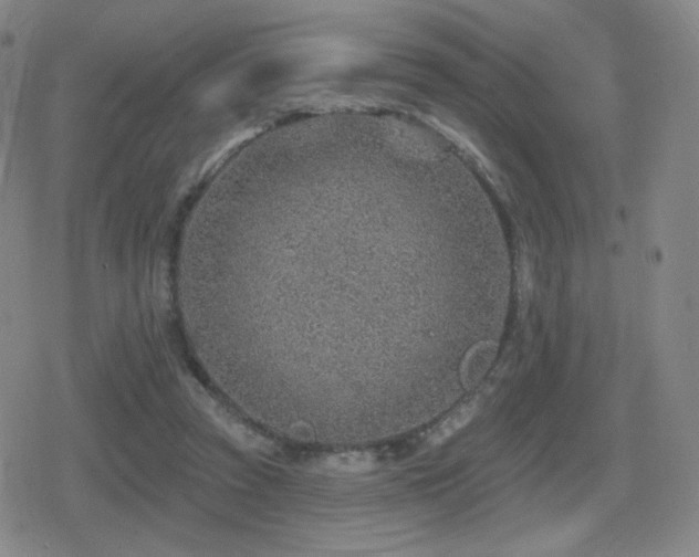 X0000080720353200612151204