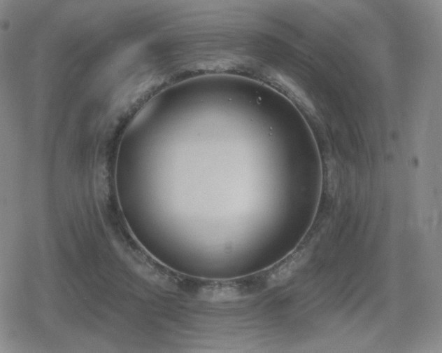 X0000080720354200612151204