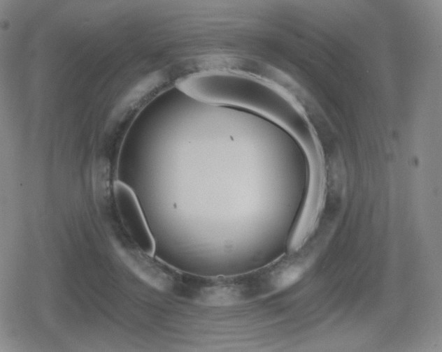 X0000080720356200612151204