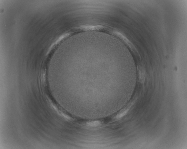 X0000080720357200612151204