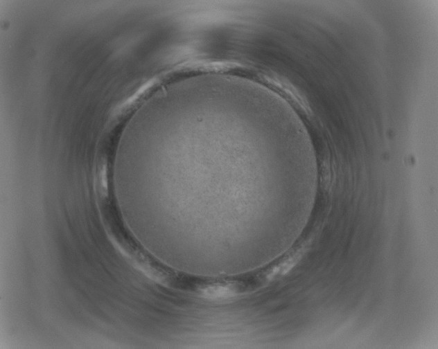 X0000080720358200612151204