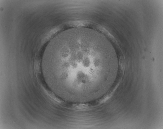 X0000080720359200612151204