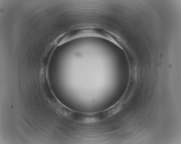 X0000080720360200612151205