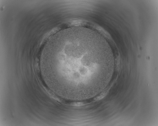 X0000080720361200612151205