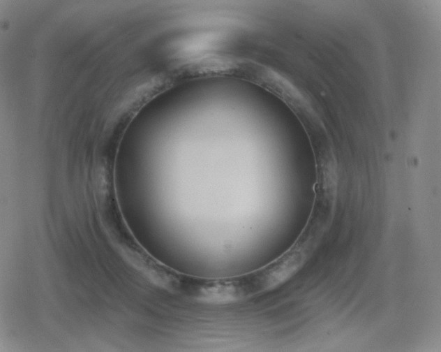 X0000080720362200612151205