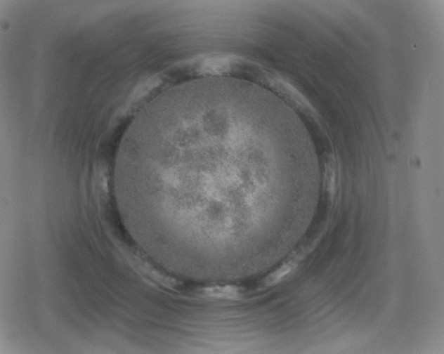 X0000080720363200612151205