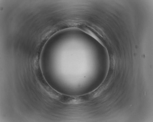 X0000080720364200612151205