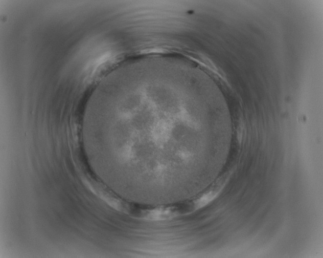 X0000080720366200612151205