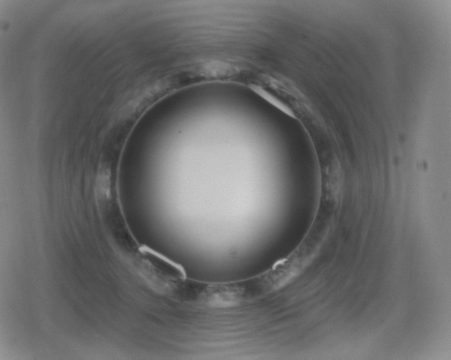 X0000080720368200612151205