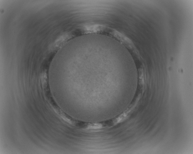 X0000080720369200612151205