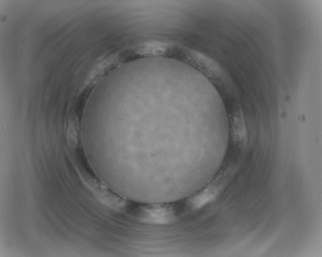 X0000080720370200612151205