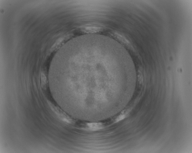 X0000080720371200612151205