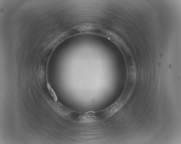 X0000080720372200612151205