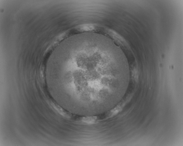 X0000080720373200612151205