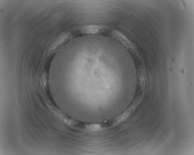 X0000080720374200612151205